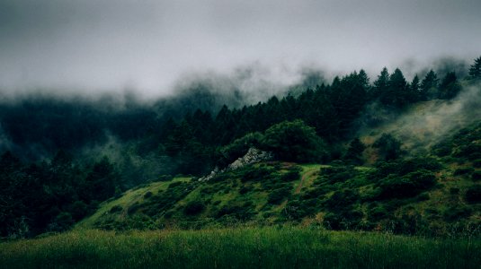 mountain covered with green trees photo