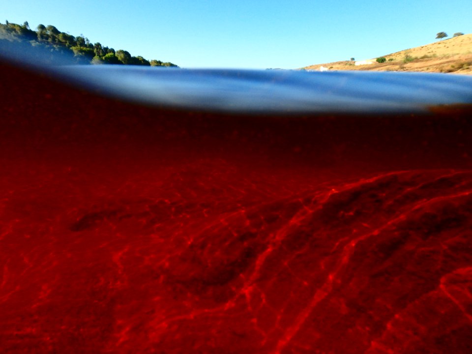 underwater photography of