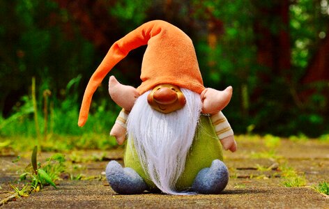 Cute sweet gnome