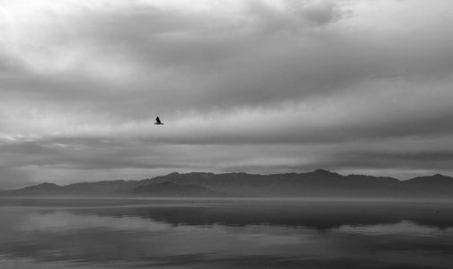 Salton sea, United states, Gloom photo
