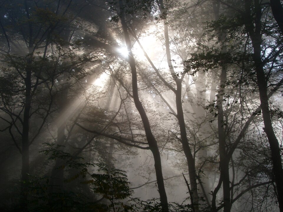 Backlighting light beam sun