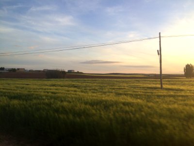 Castillala mancha, Campo de criptana, Spain photo