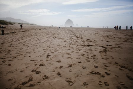 Cannon beach, United states, Moody