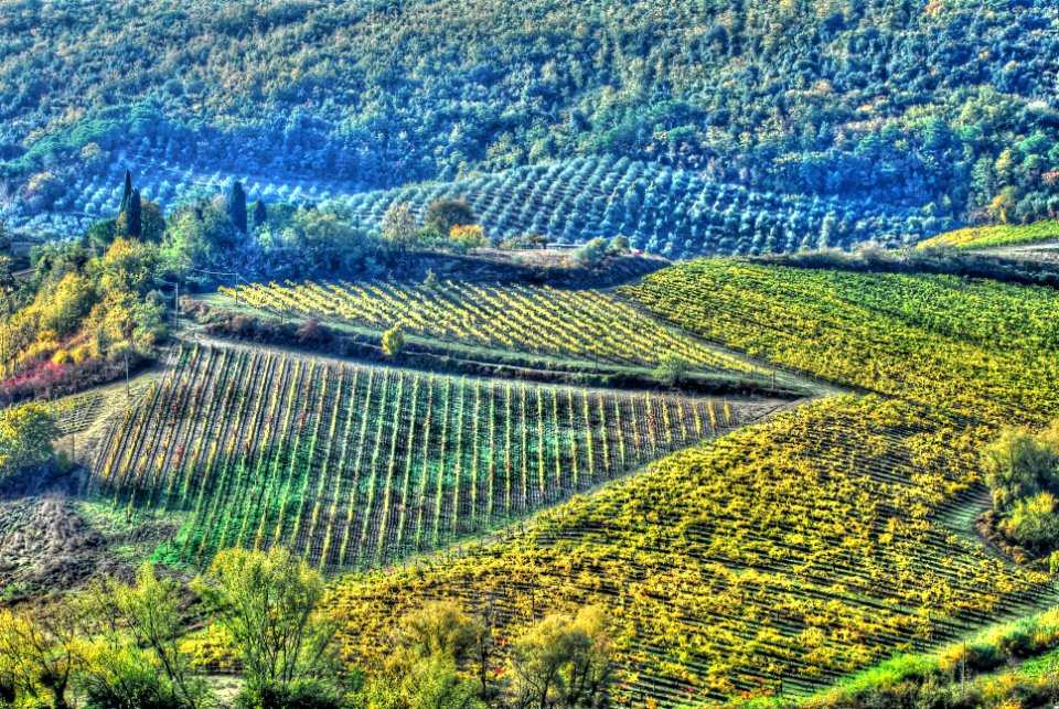 Tuscany, Italy, Scape