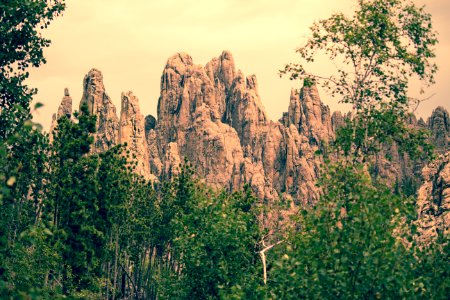 brown mountain in front of trees photo