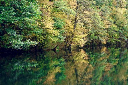 Large evergreen waterfront property.