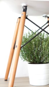White chair, Green, Interior