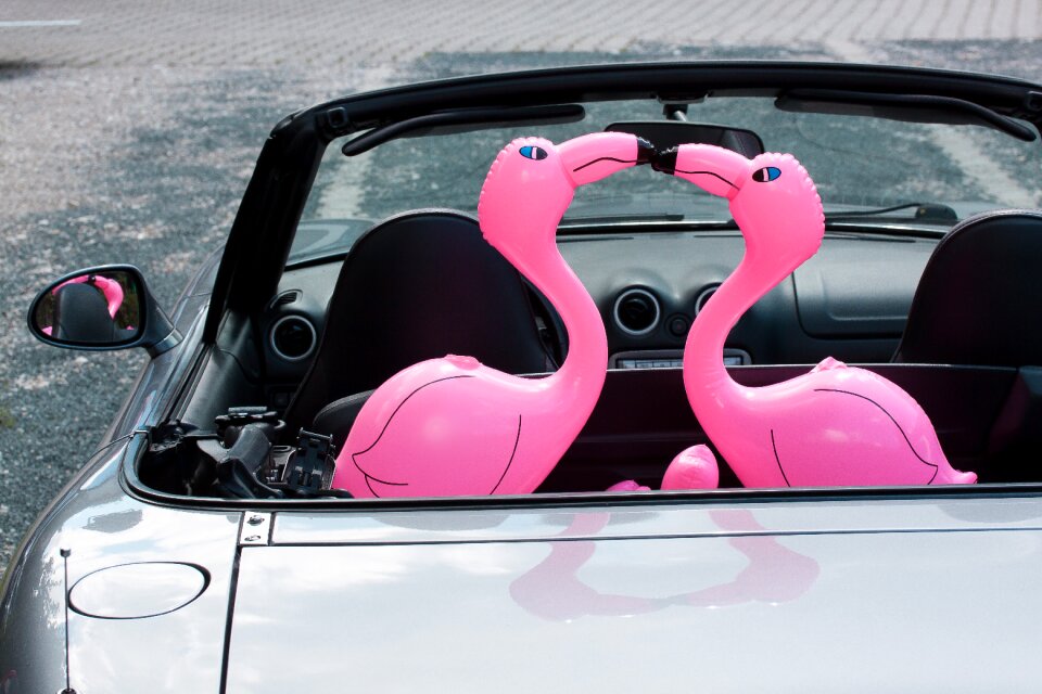 Romantic lovers auto