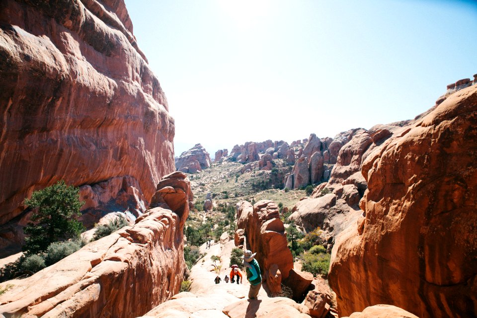 Climbing, Path, Hicking
