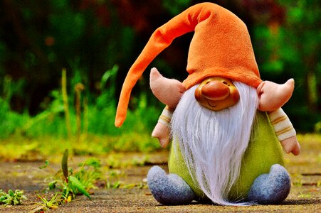 Cute sweet gnome