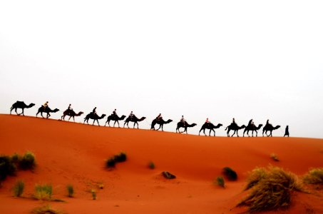 Merzouga desert lodge, Merzouga, Maroc photo