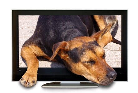 Tv screen hybrid