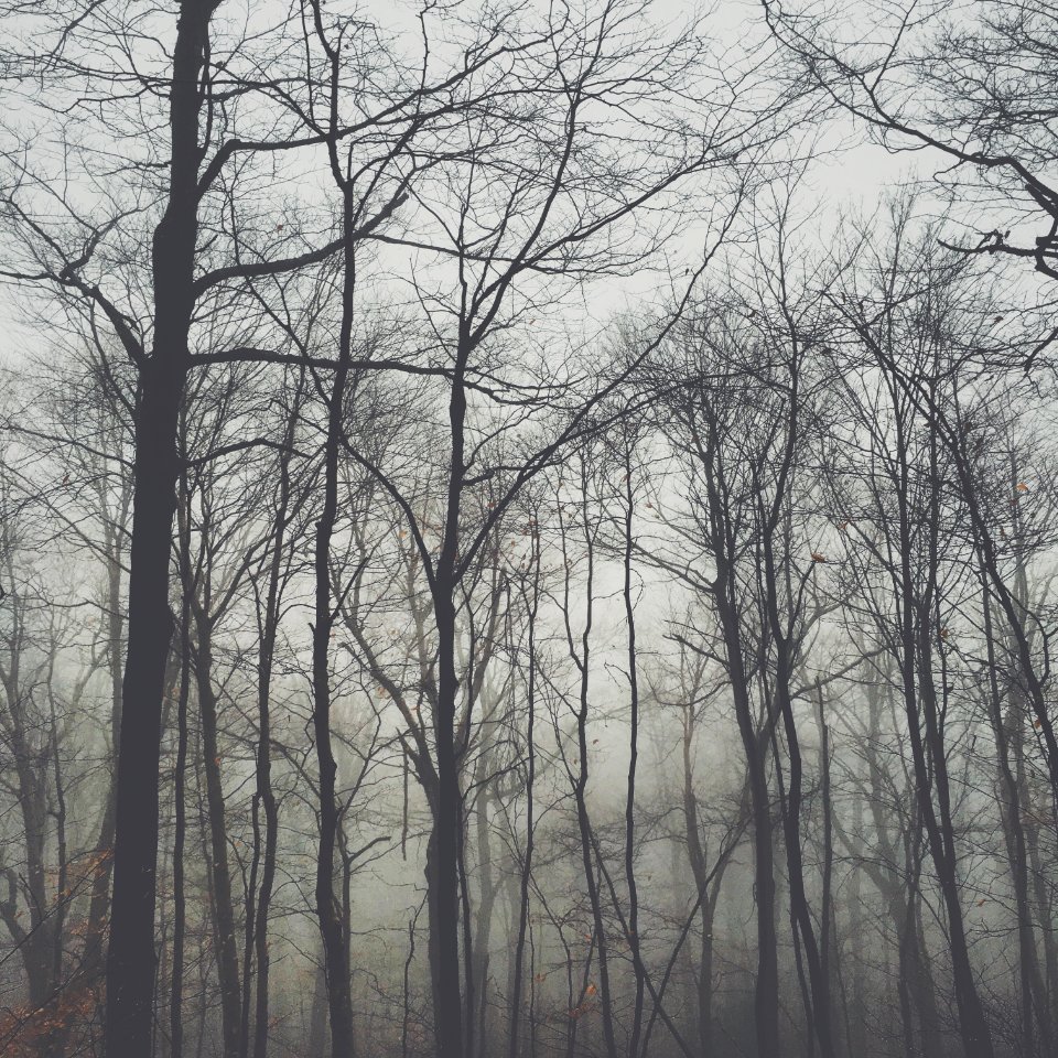 Elka park, New york, United states