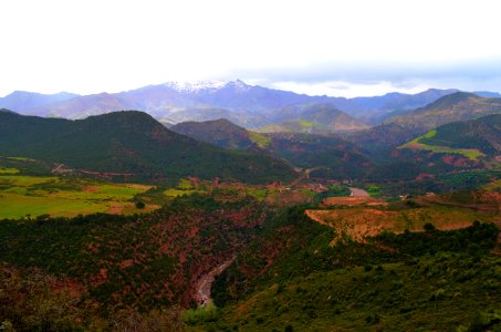 landscape photography of road leading to mountains