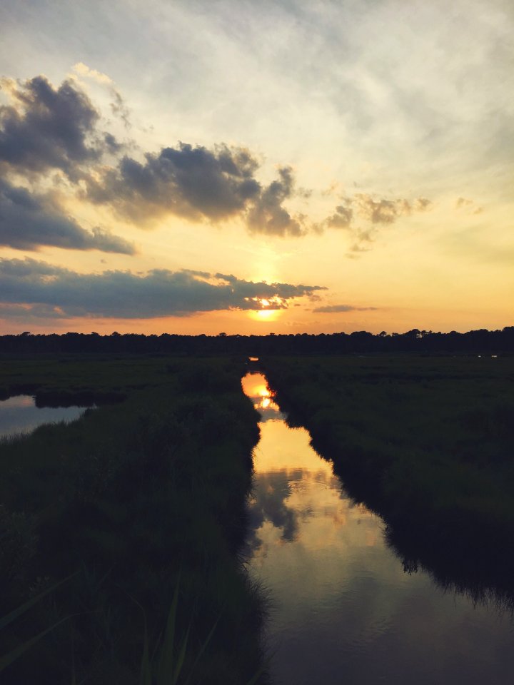 Cattus isl, County park, Toms river