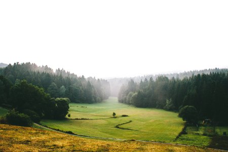 Light, Wet, Morning