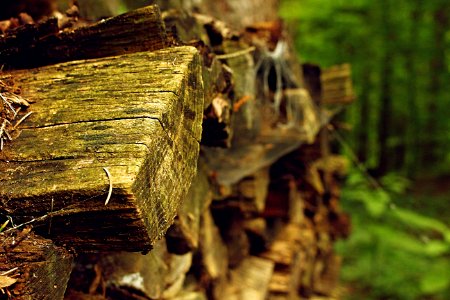 La porte, United states, Log