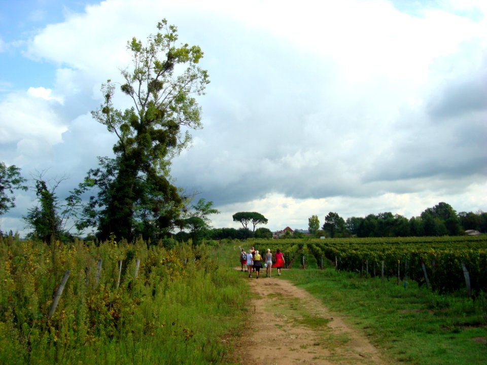 France, Saintmilion, St emmilion