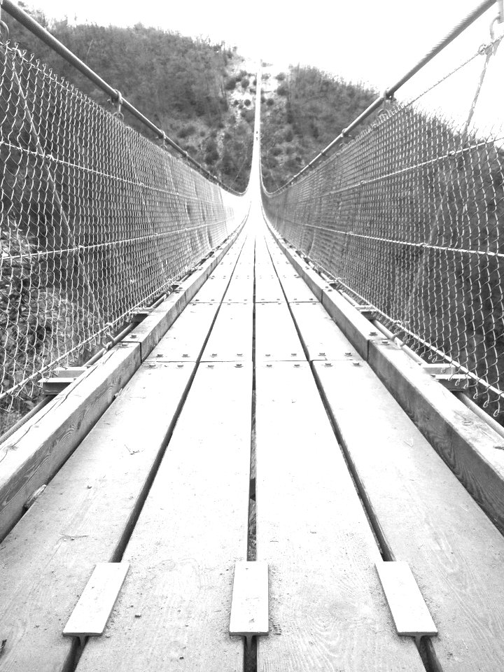 Ponte tibetano carasc, Bellinzona, Switzerl
