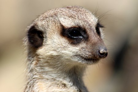 Opel zoo, Kronberg im taunus, Germany