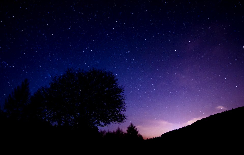 silhouette of trees under starry night digital wallpaper