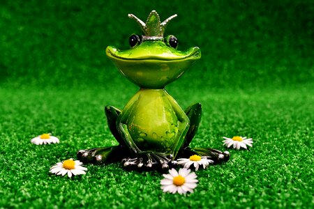 Meadow decoration cute