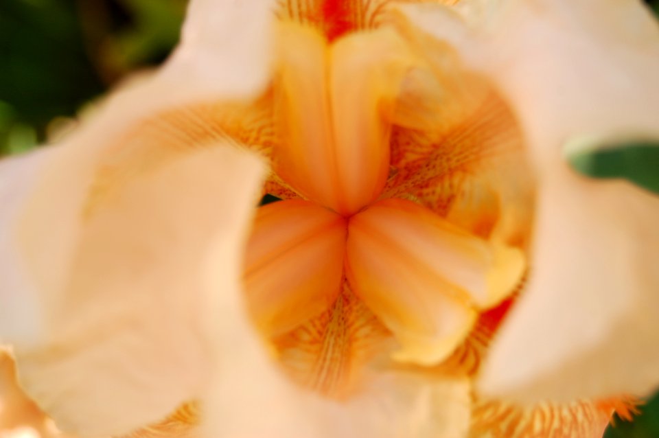 La plata, Argentina, Soft