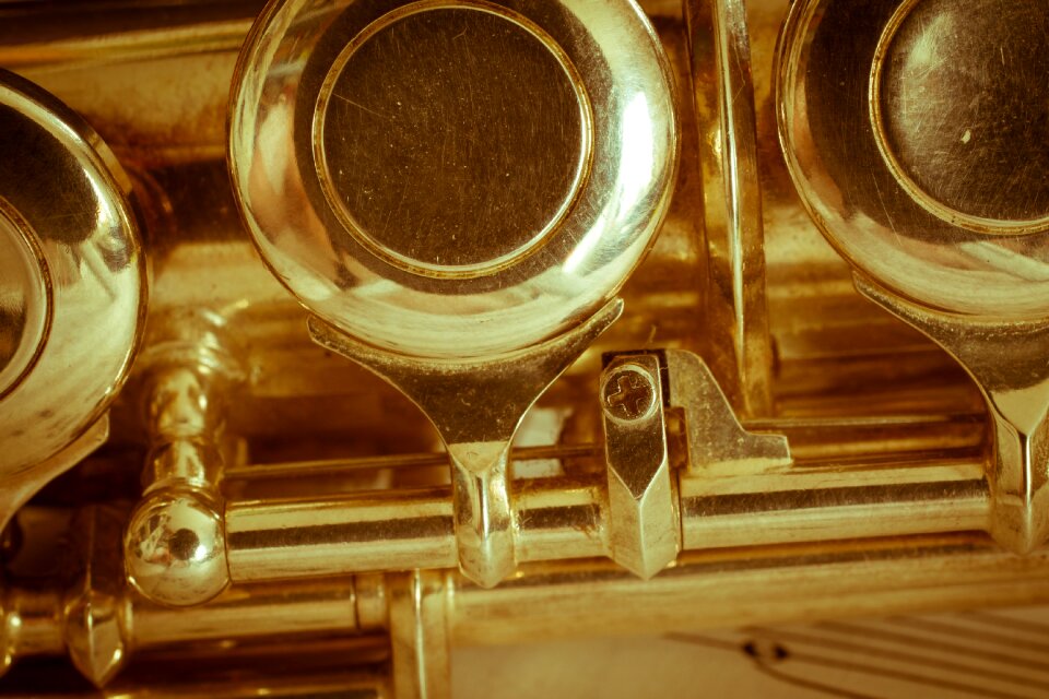 Music instrument classic