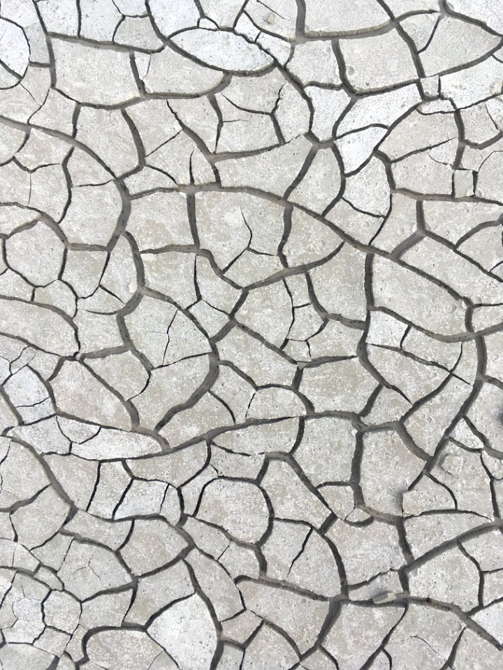 Lines, Maze, Natural
