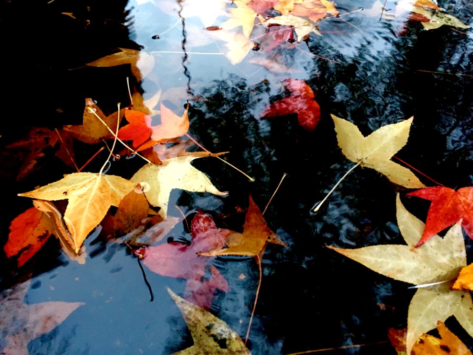 Portl, Autumn, Water