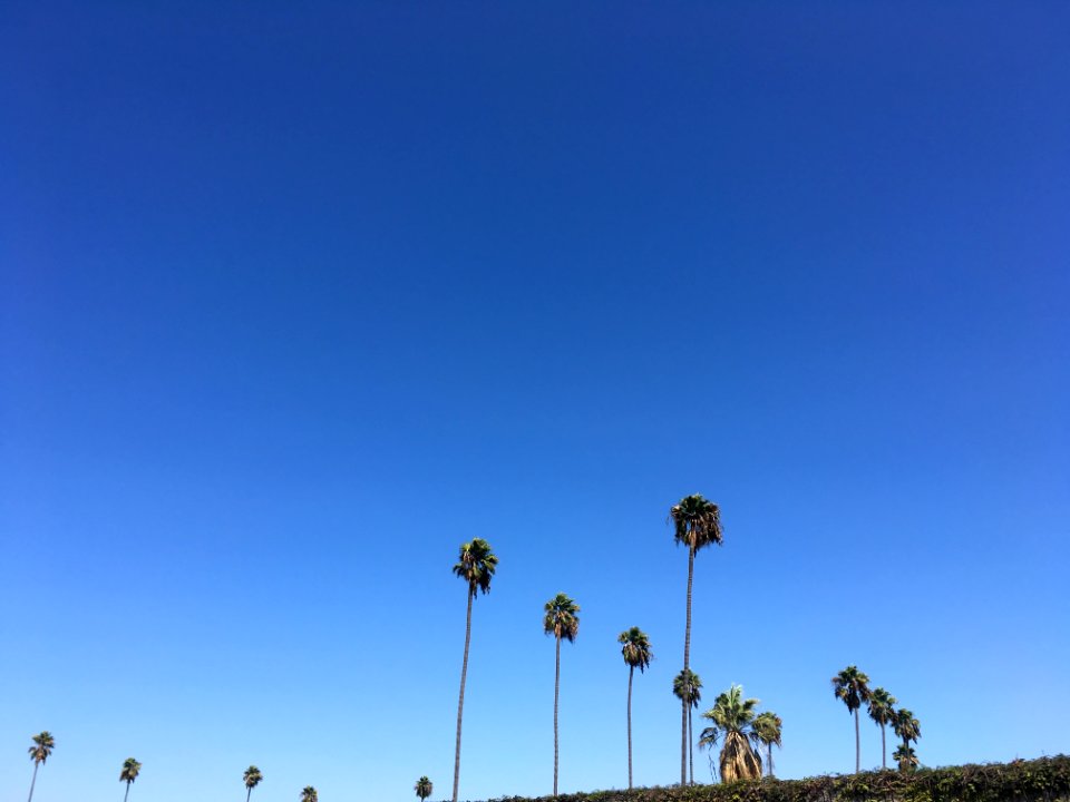 Los angeles, United states, Blue