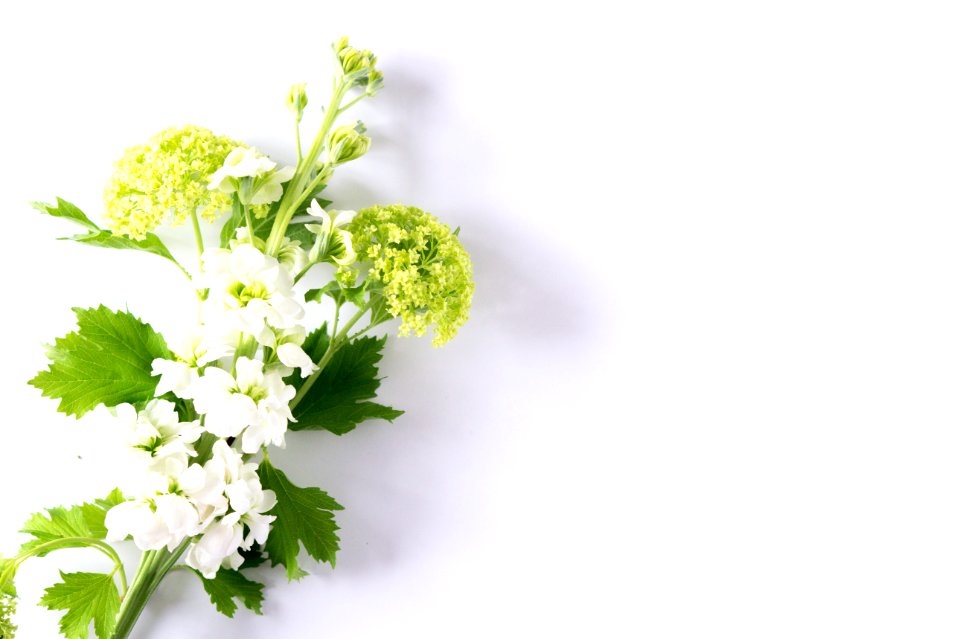 Spring, Minimalism, Green