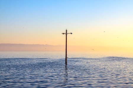 brown post on body of water photo