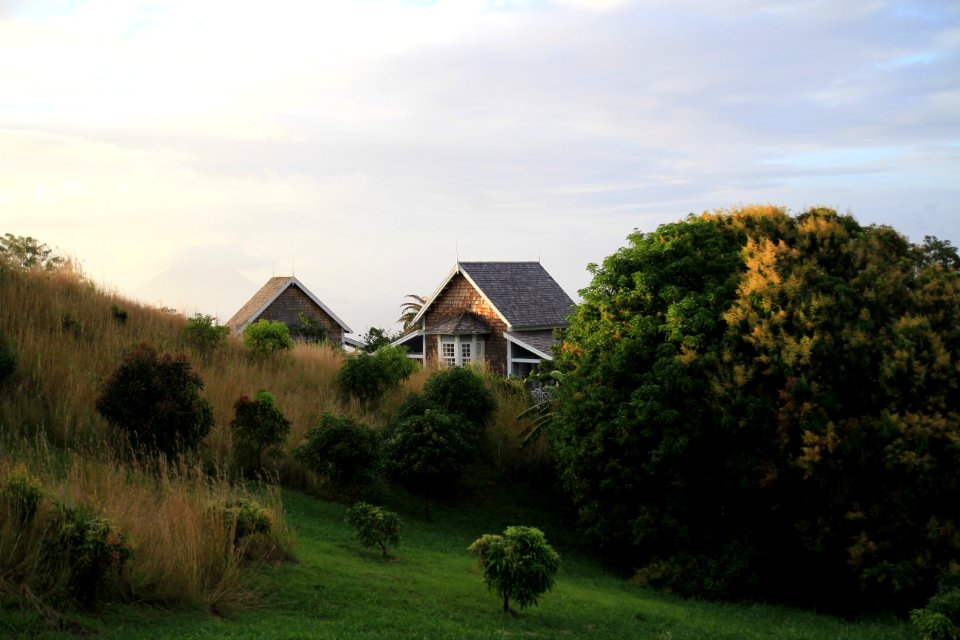 house near trees and greenfield