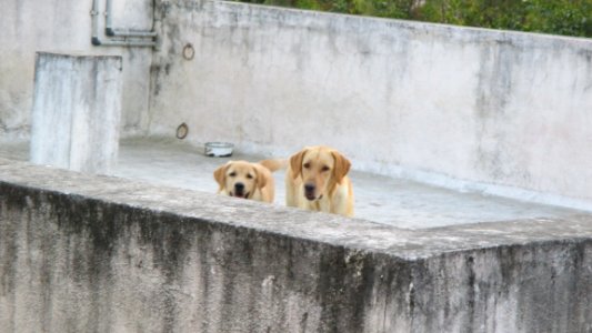 Kanchipuram, India, Humble photo