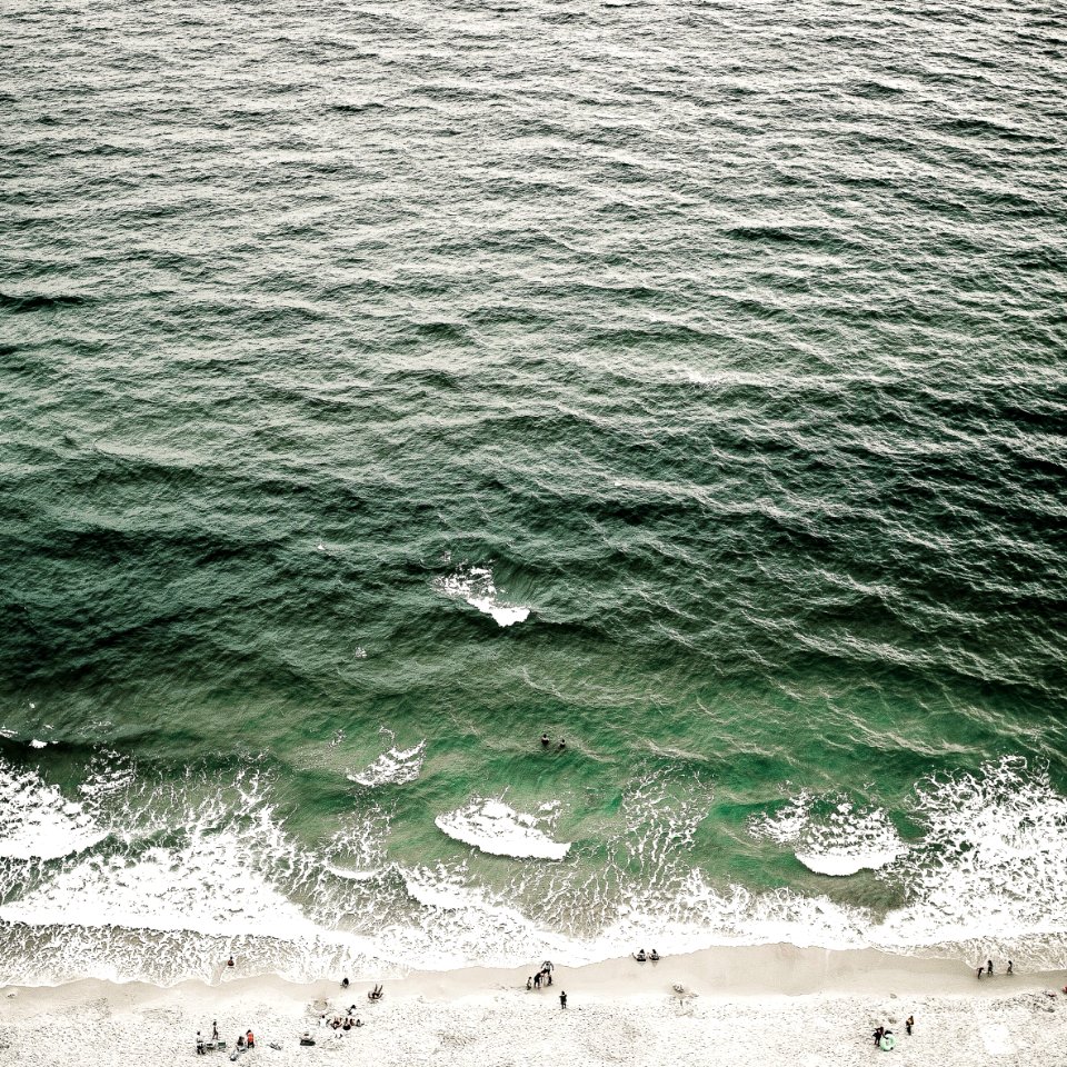 people near on water wave