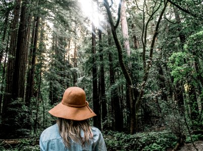 person wearing brown sun hat surrounded trees photo