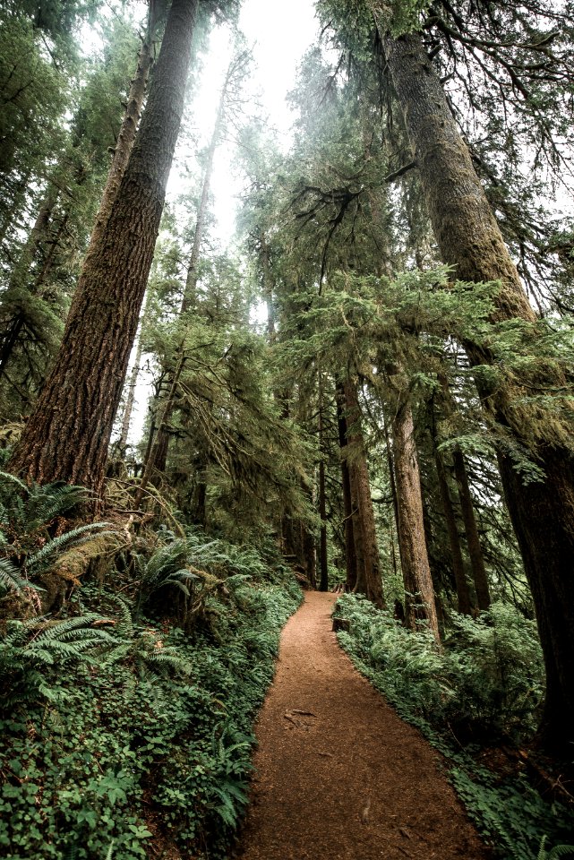 Design, Outdoor, Hike