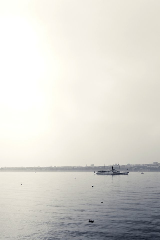 Day, White, Water