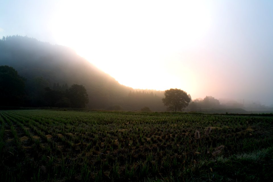 Nantan, Japan, Fog