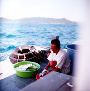 man washing dishes beside blue plastic pail photo