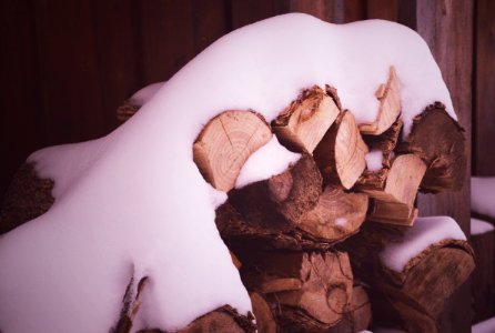 Canada, Lumber, Woodshed photo