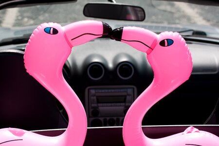 Pink romantic lovers