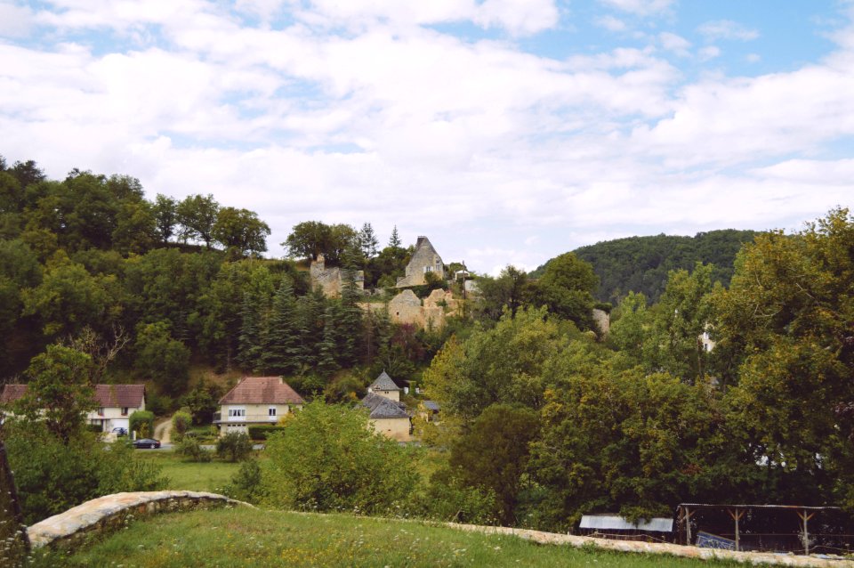 Forest, Old houses, Old