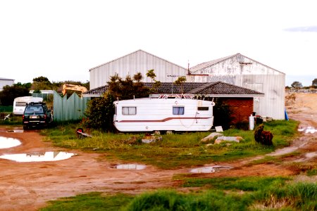 Australia, Ceduna, Bush