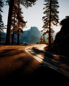 car on curve road surrounded by trees