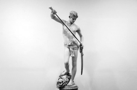 Sculpture, David, Warrior photo