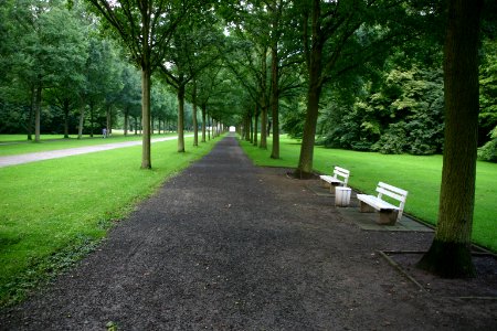 Empty, Free, Nature