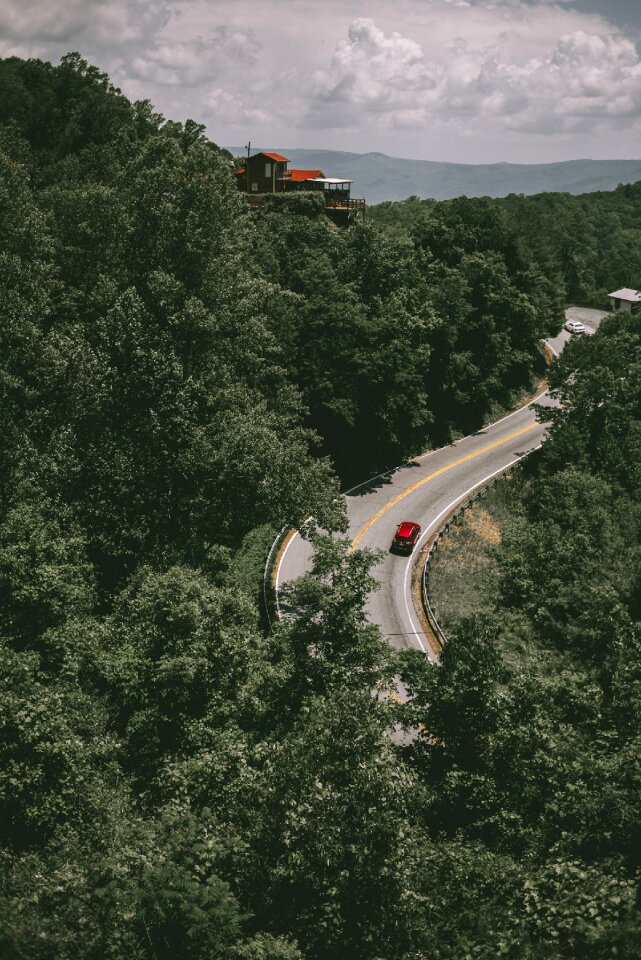 Travel trees green car