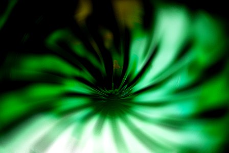 An abstract flower-like shape in green photo